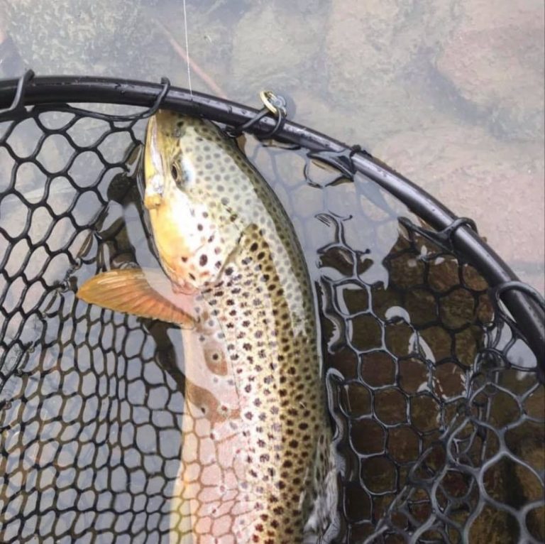 Bill Fly Fisherman Fly Fishing Lessons Boise, ID